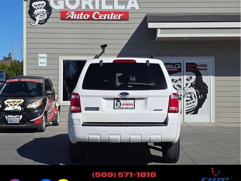 Used 2008 Ford Escape XLT image 6