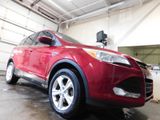 Used 2013 Ford Escape SE image 5