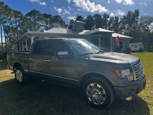 Used 2010 Ford F150 Platinum image 7