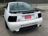Used 2003 Ford Mustang Mach 1 image 2