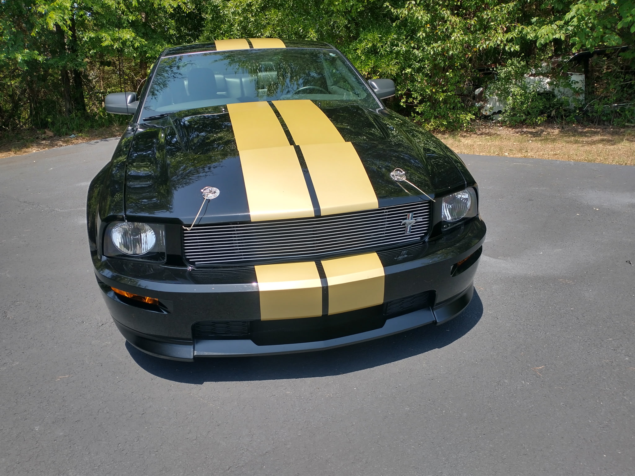 Used 2006 Ford Mustang Shelby GT-H Coupe RWD image 7