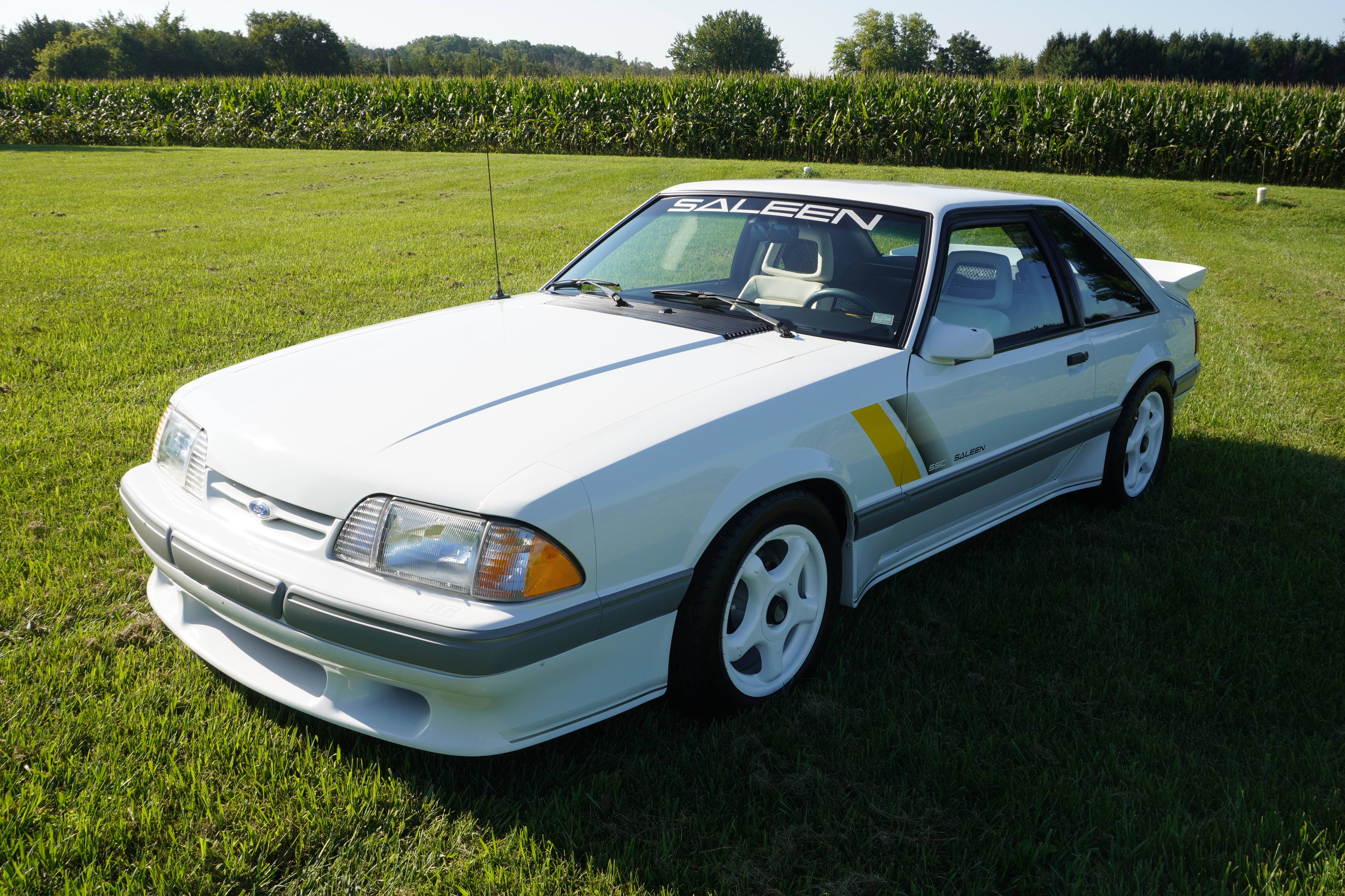 Used 1989 Ford Mustang LX V8 Hatchback RWD image 1