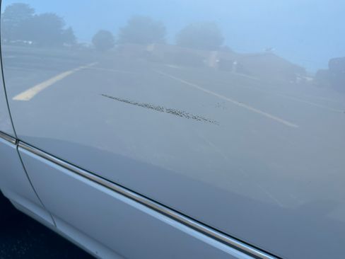 Used 2005 Lexus LS 430 image 11