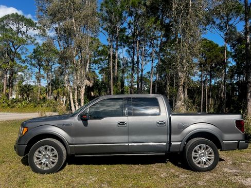 Used 2010 Ford F150 Platinum image 2