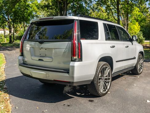 Used 2016 Cadillac Escalade Platinum image 6