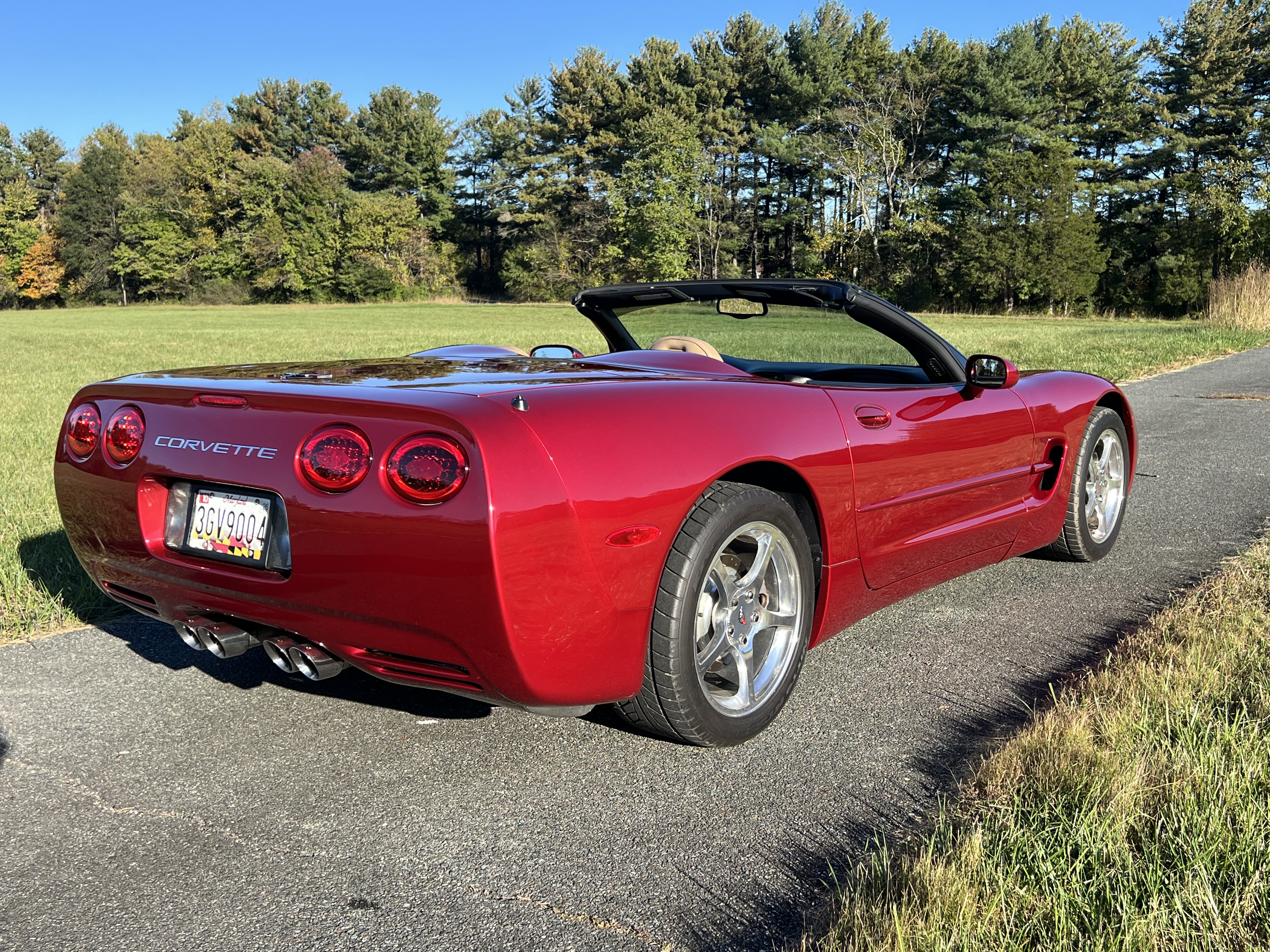 Used 2001 Chevrolet Corvette Convertible RWD image 5