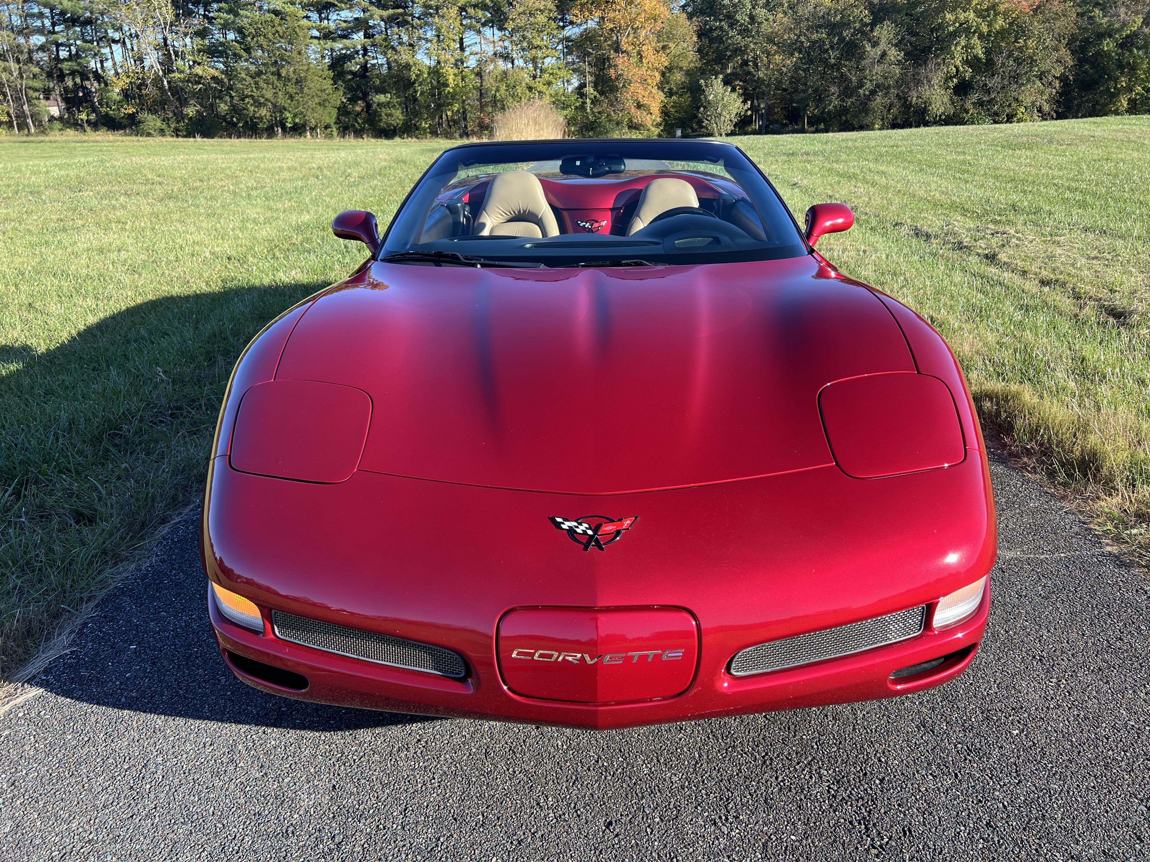 Used 2001 Chevrolet Corvette Convertible RWD image 15