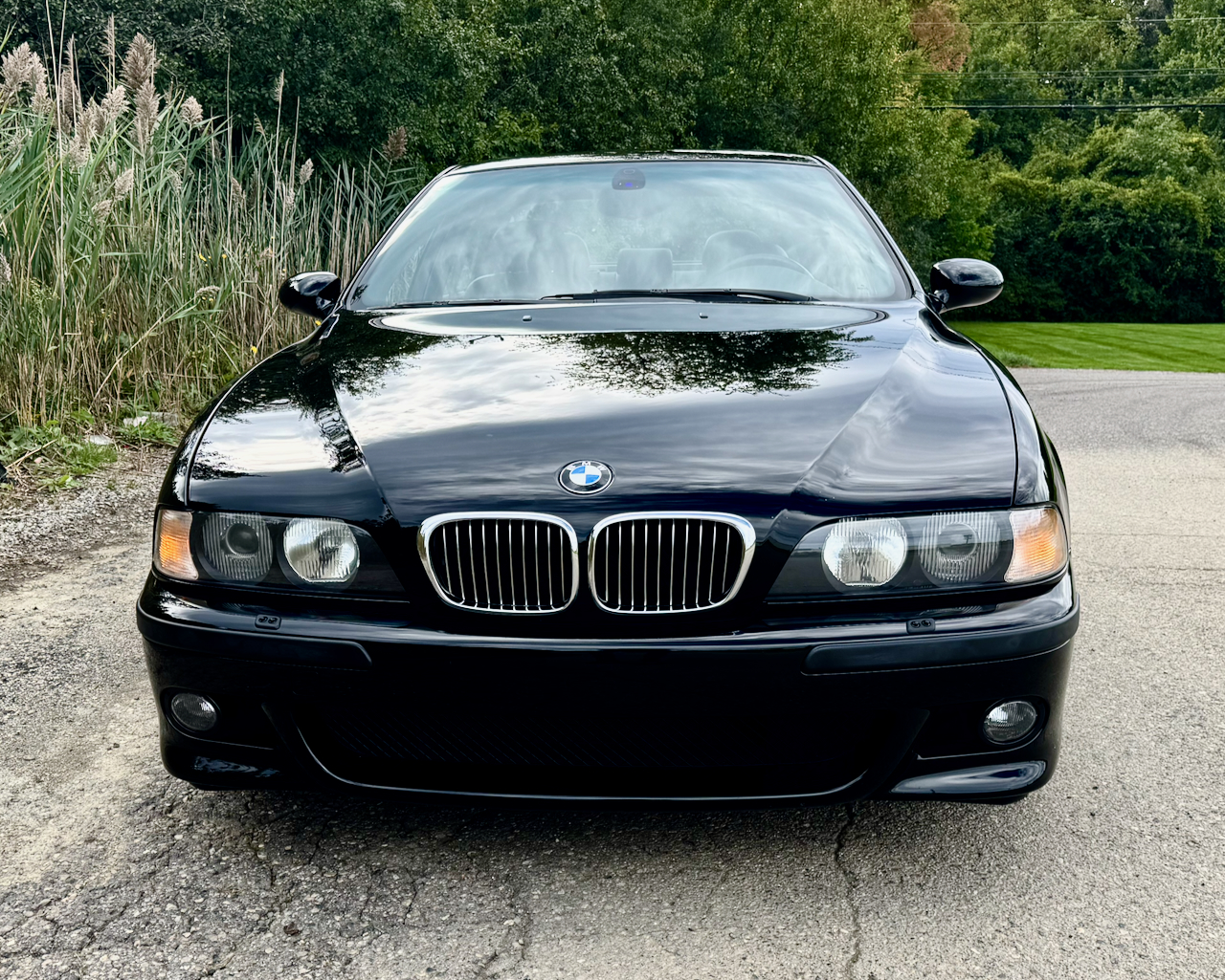 Used 2000 BMW M5 UNAVAIL RWD image 5