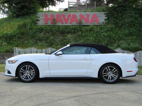 Used 2016 Ford Mustang Premium RWD image 1