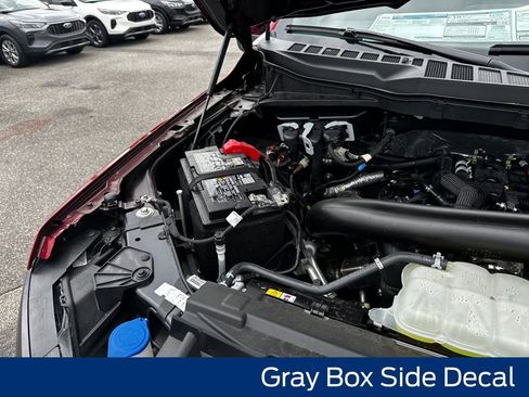 New 2025 Ford F150 XLT w/ Equipment Group 301A Standard image 22