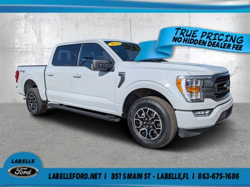Used 2023 Ford F150 XLT w/ Equipment Group 302A High AWD/4WD image 1