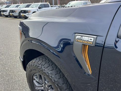 Used 2021 Ford F150 Tremor w/ Equipment Group 402A High image 31