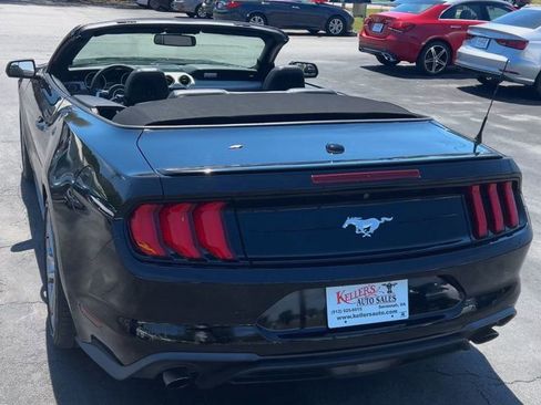 Used 2019 Ford Mustang Premium RWD image 7