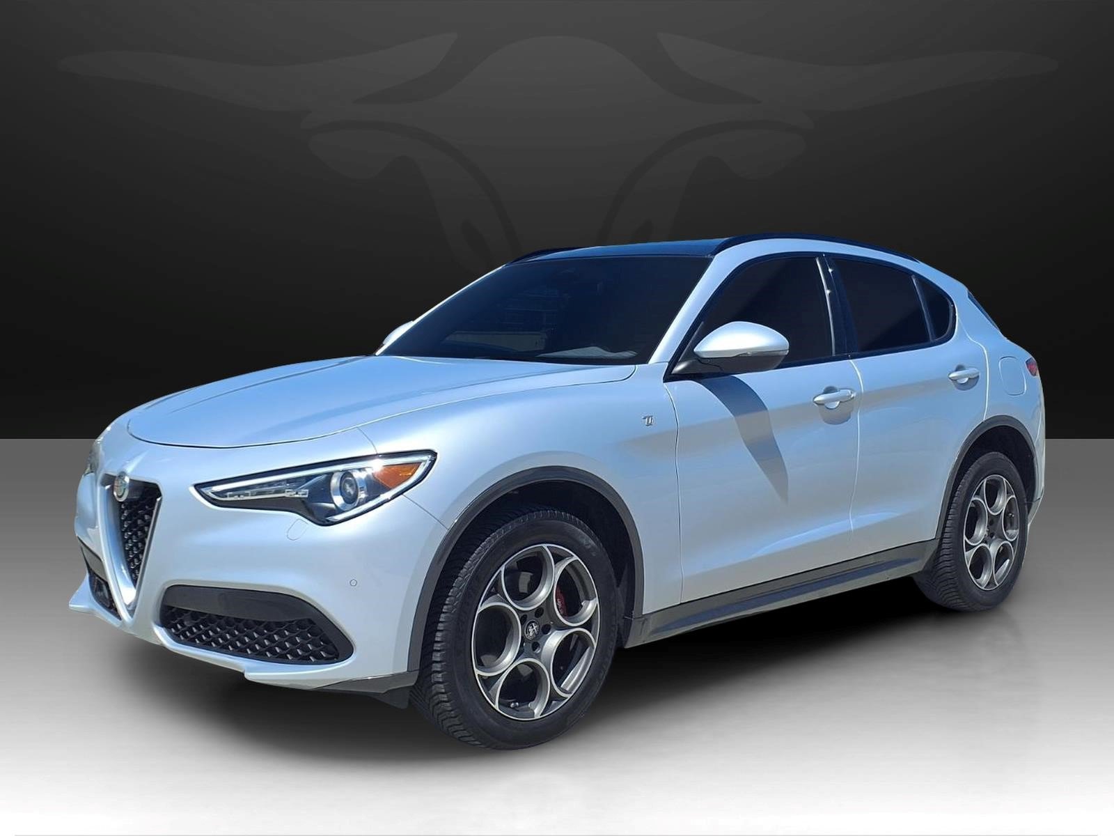 Used 2022 Alfa Romeo Stelvio Ti AWD/4WD image 1