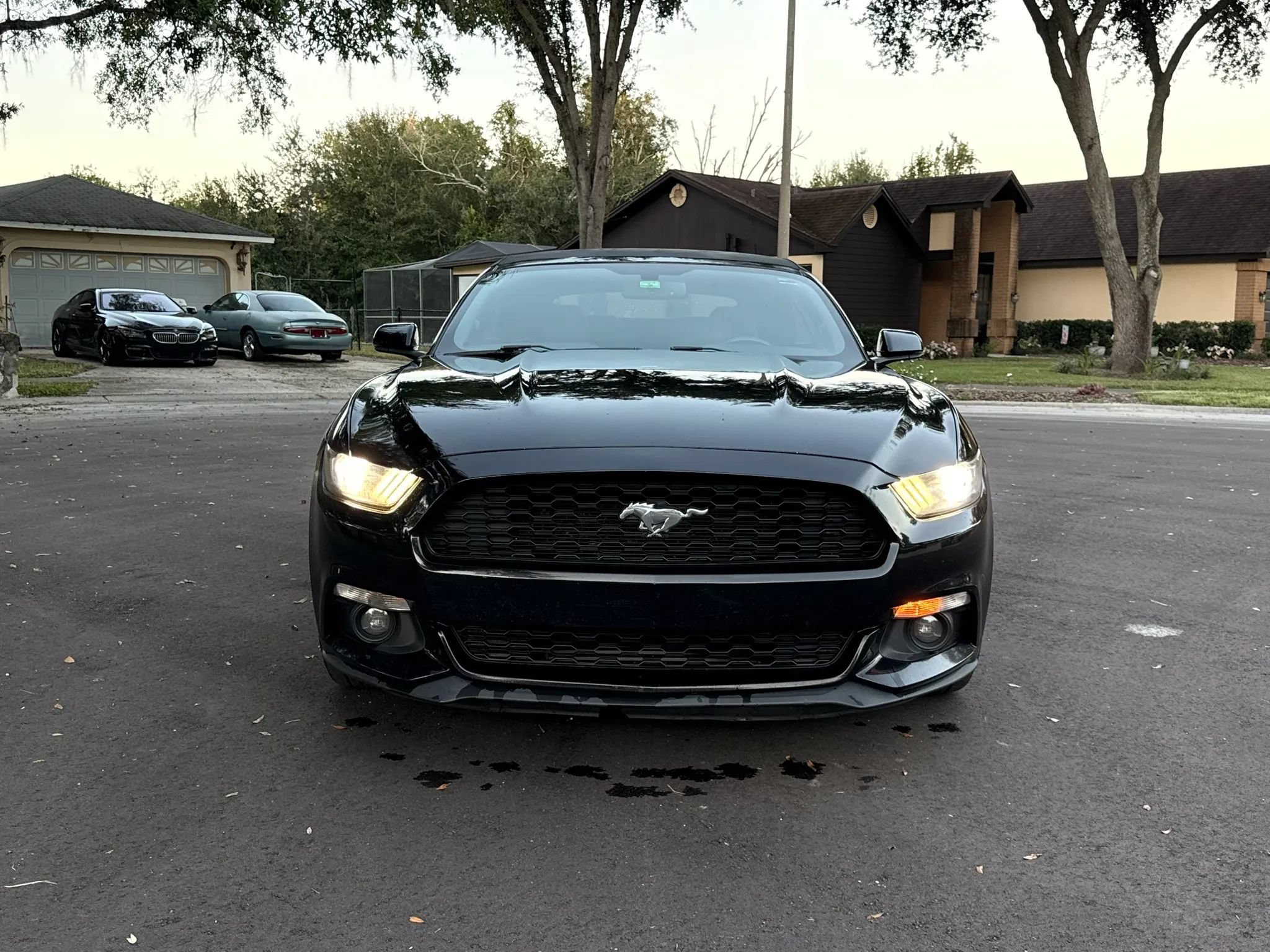 Used 2017 Ford Mustang Premium RWD image 8
