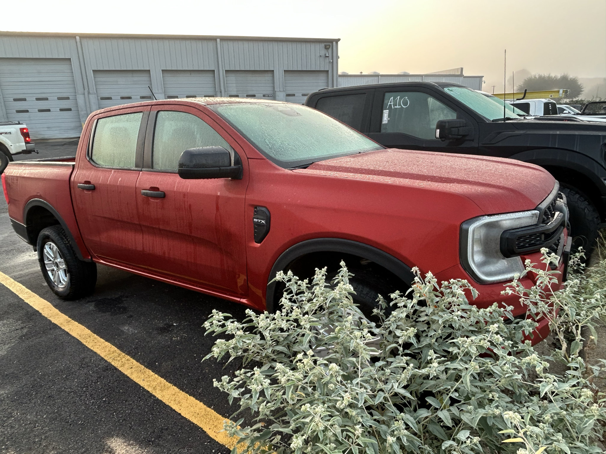 Used 2024 Ford Ranger XL w/ Trailer Tow Package RWD image 2