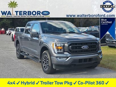 Certified 2023 Ford F150 XLT w/ Equipment Group 302A High
