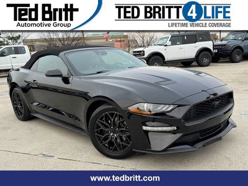 Used 2022 Ford Mustang Premium image 1