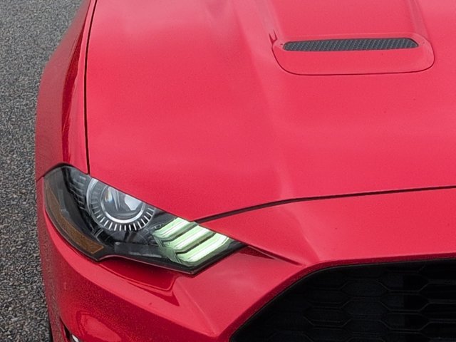 Used 2022 Ford Mustang Premium w/ Equipment Group 201A RWD image 11