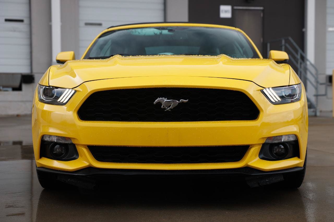 Used 2015 Ford Mustang Premium RWD image 17