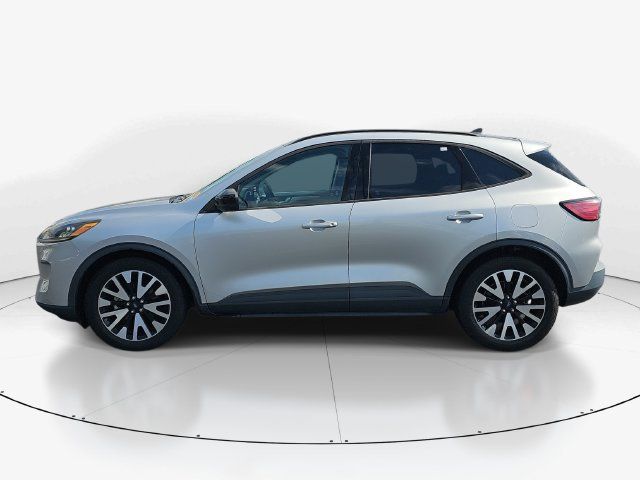 Used 2020 Ford Escape SE Sport FWD image 6