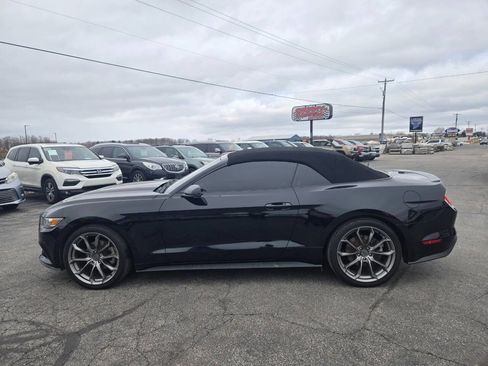 Used 2015 Ford Mustang Premium w/ Equipment Group 201A image 5