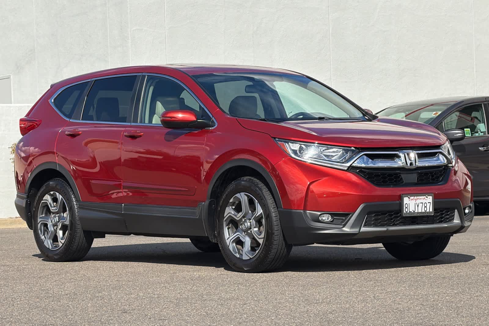 Used 2019 Honda CR-V EX-L image 5