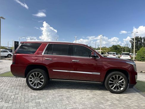 Used 2019 Cadillac Escalade Platinum RWD image 6