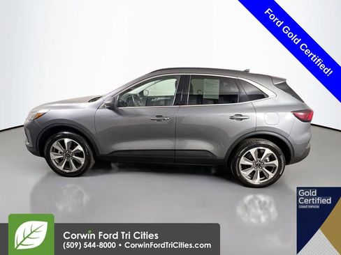 Used 2025 Ford Escape Platinum image 6