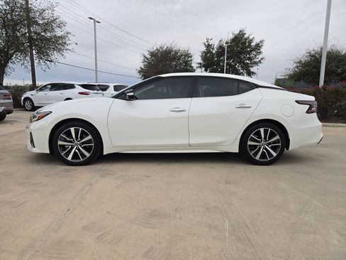 Used 2019 Nissan Maxima 3.5 SV w/ Floor Mat Group image 4