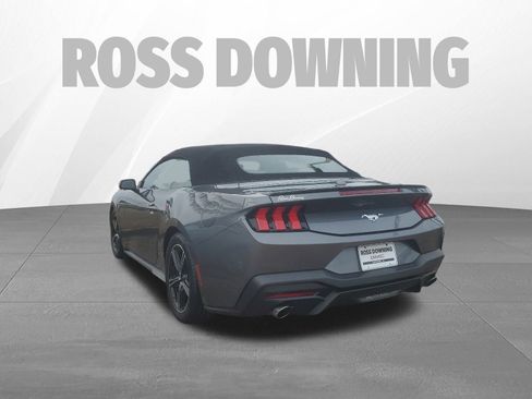 Used 2024 Ford Mustang Premium image 7