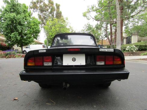Used 1987 Alfa Romeo Spider Veloce image 7
