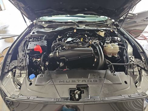 Used 2024 Ford Mustang Premium RWD image 28