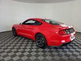 Used 2019 Ford Mustang GT w/ Equipment Group 301A image 6