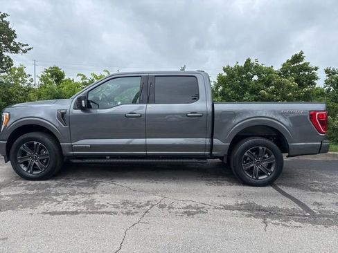 Used 2023 Ford F150 XLT w/ Equipment Group 302A High AWD/4WD image 5