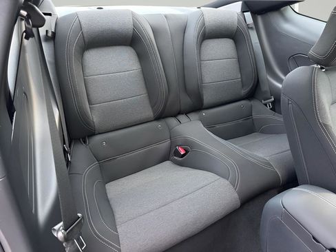 New 2026 Ford Mustang Coupe w/ Mustang Nite Pony Package image 28