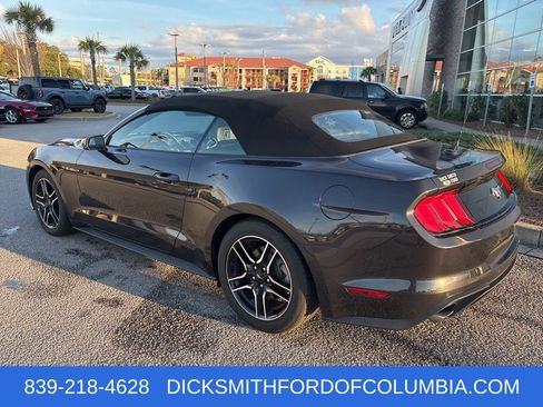 Used 2023 Ford Mustang Premium w/ Equipment Group 201A image 3