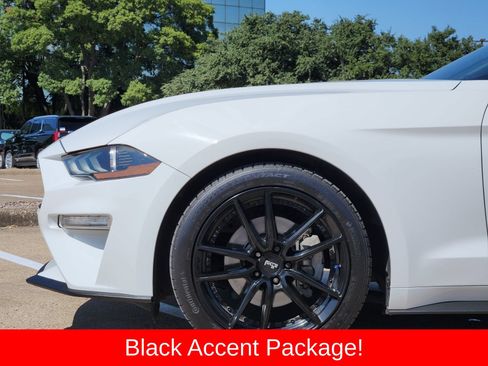 Used 2019 Ford Mustang Coupe w/ Black Accent Package RWD image 8