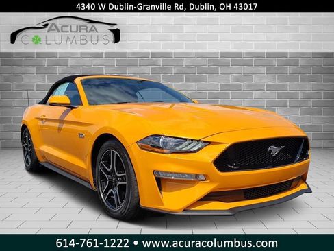 Used 2019 Ford Mustang GT Premium w/ Equipment Group 401A RWD image 1