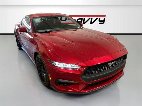 Used 2024 Ford Mustang EcoBoost image 1