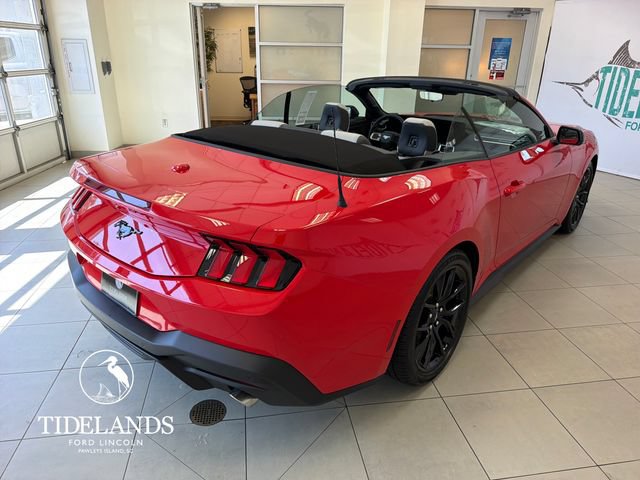 New 2026 Ford Mustang Premium w/ Mustang Nite Pony Package RWD image 8