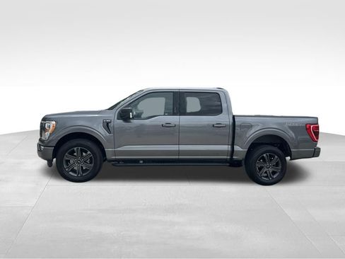 Used 2023 Ford F150 XLT w/ Equipment Group 302A High AWD/4WD image 2