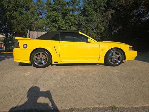 Used 2001 Ford Mustang Cobra RWD image 2