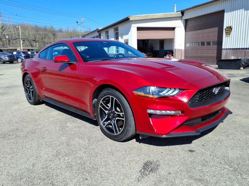 Used 2021 Ford Mustang Coupe image 1