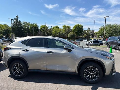 Certified 2026 Lexus NX 350 AWD w/ Cold Area Package image 6