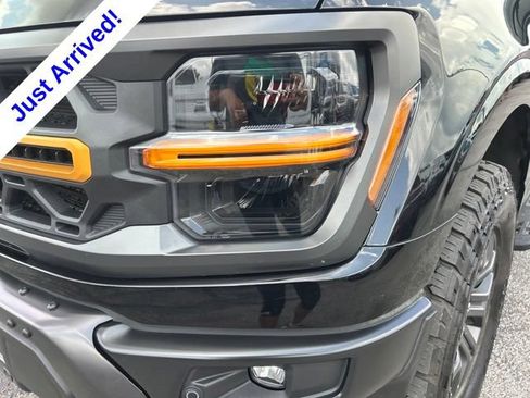 Used 2025 Ford F150 Tremor w/ Equipment Group 402A High AWD/4WD image 9