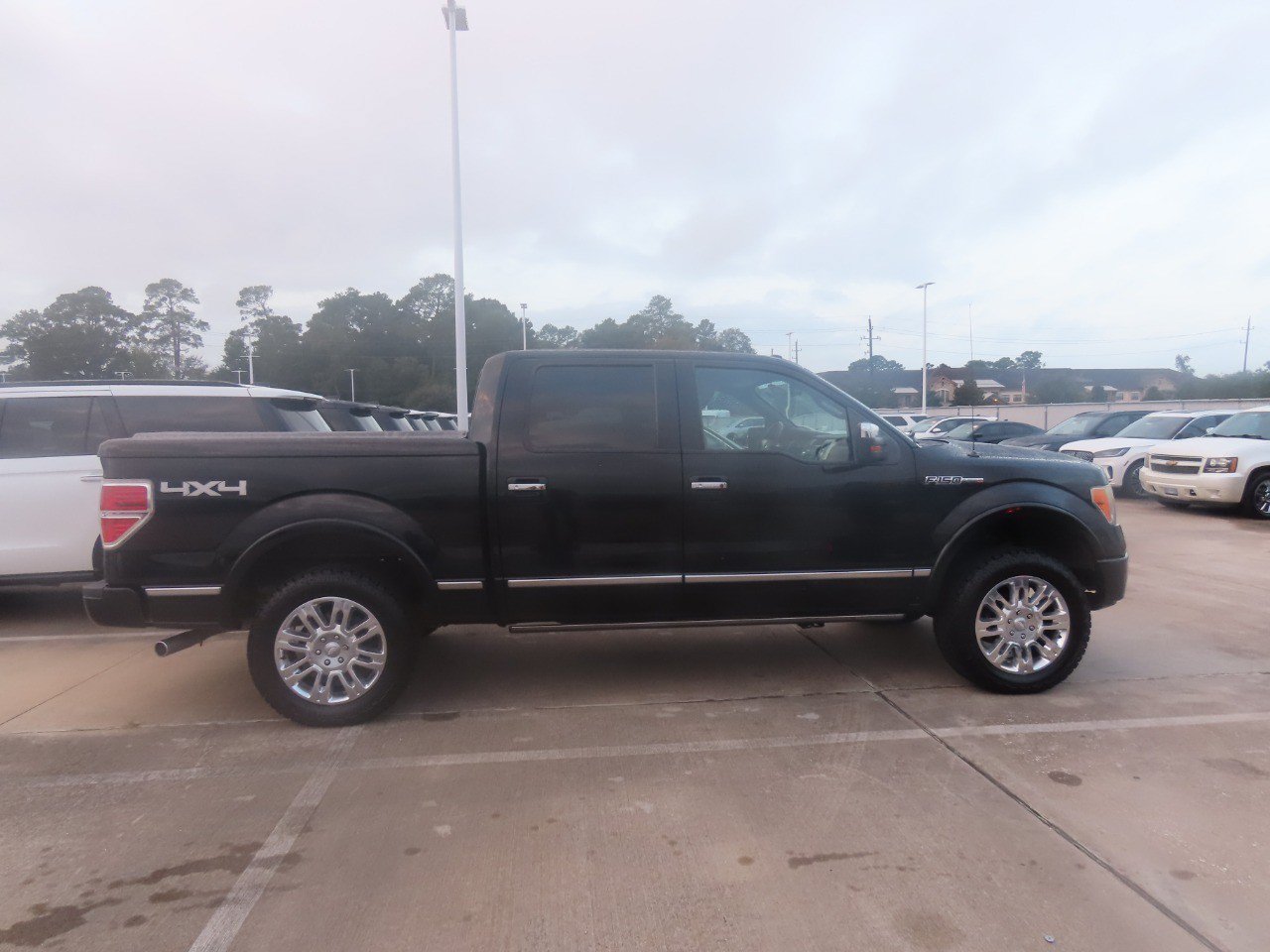 Used 2009 Ford F150 Platinum AWD/4WD image 10