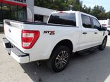 Used 2023 Ford F150 XL w/ STX Appearance Package image 3