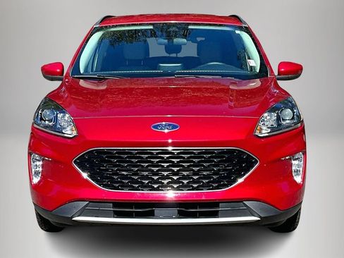 Used 2020 Ford Escape SEL image 3