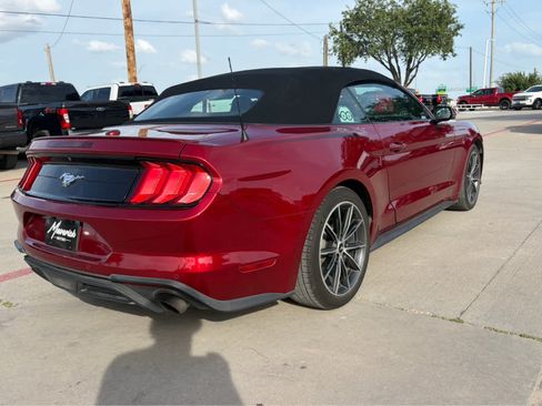Used 2019 Ford Mustang Premium w/ Ford Safe & Smart Package RWD image 3